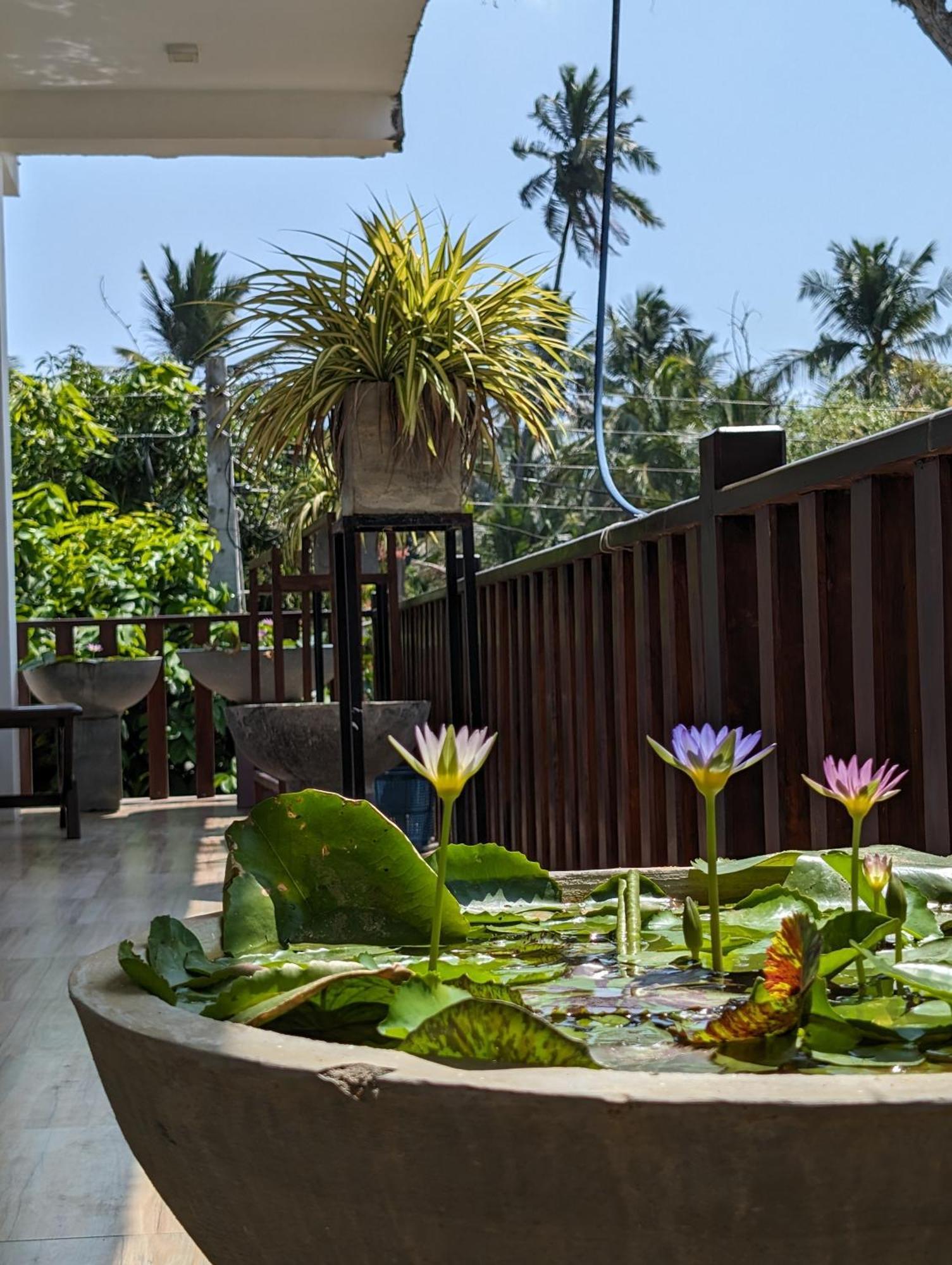 Sea Bay Inn Tangalle Exterior photo